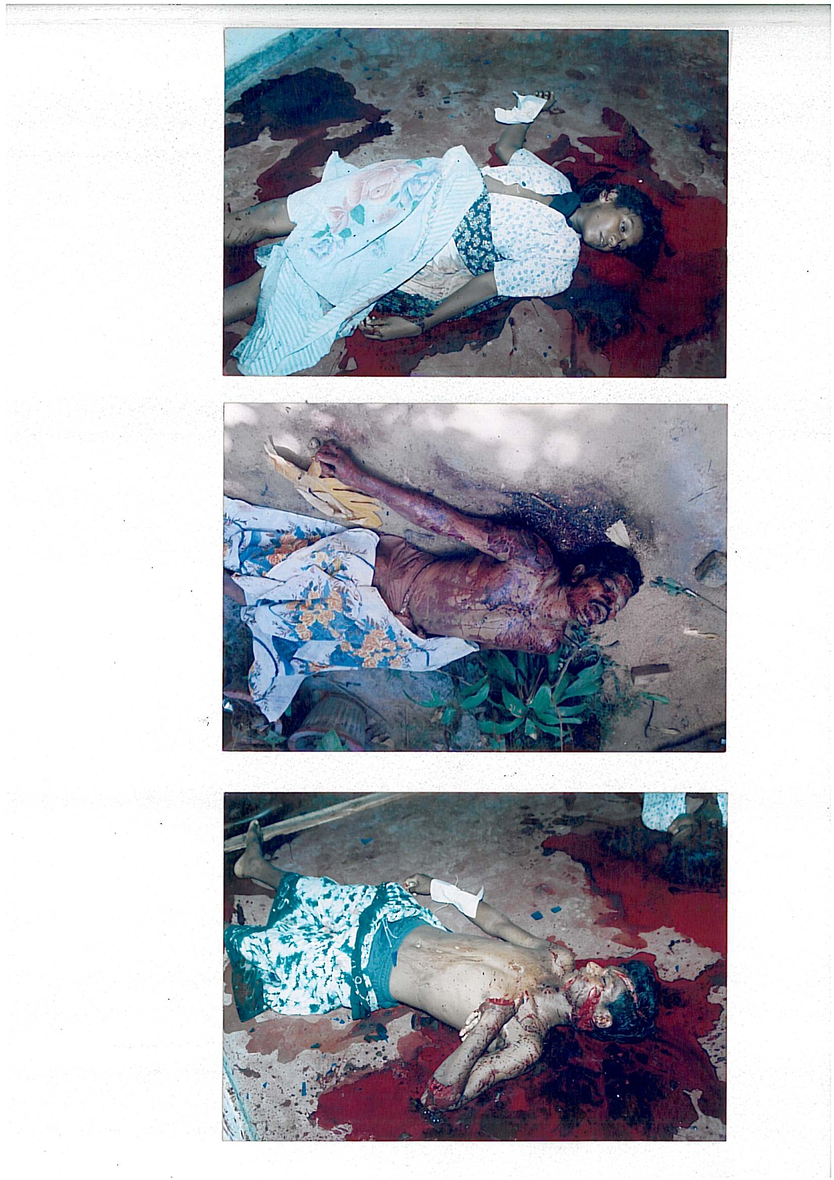Scanned page of three photographs showing the bodies of victims lying in pools of blood